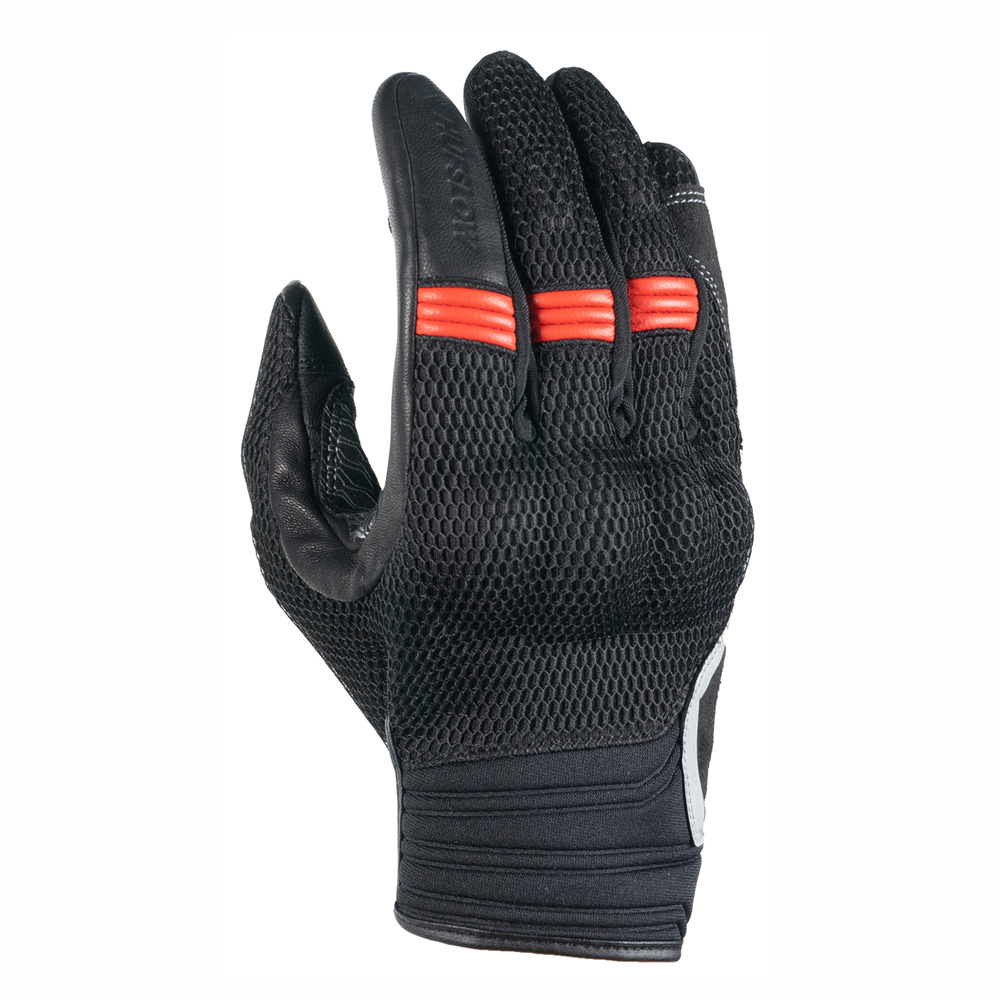 Daisy on the Ohoopee